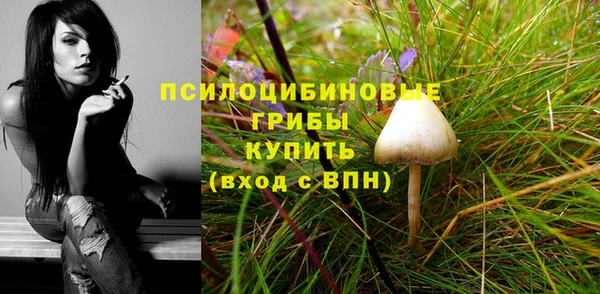 амфетамин Белокуриха