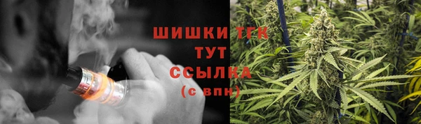 амфетамин Белокуриха