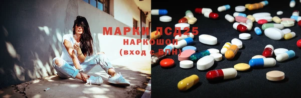молекула духа Богданович