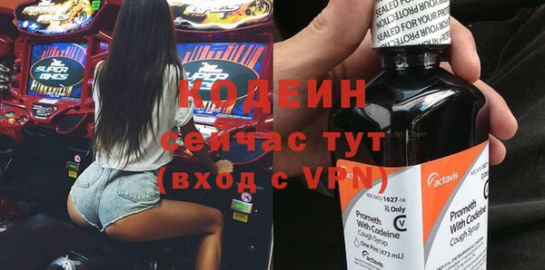 молекула духа Богданович