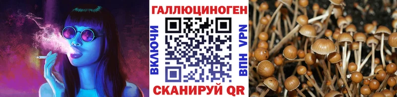 Псилоцибиновые грибы мухоморы  маркетплейс как зайти  Дзержинский 